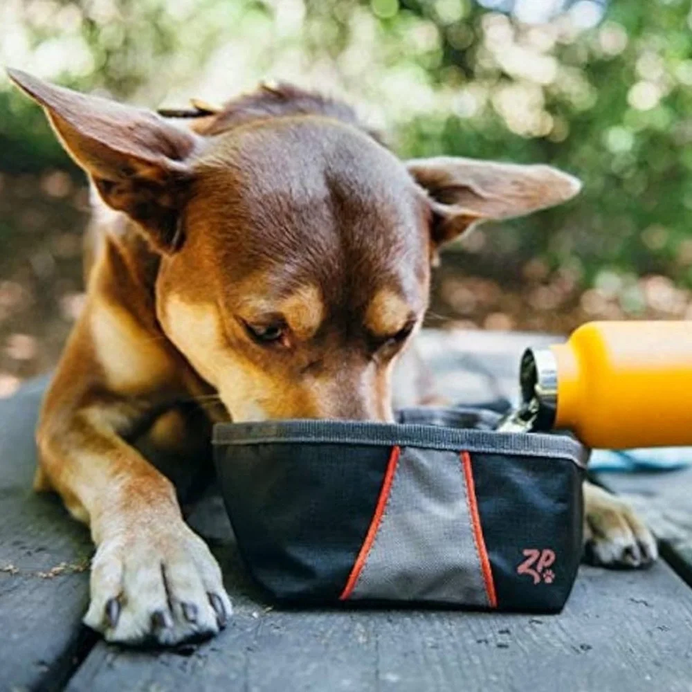 NWT Waterproof Travel Collapsible Dog Bowl